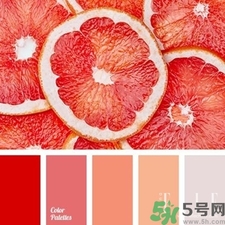 西柚色口紅的牌子哪款好？西柚色口紅有哪些牌子