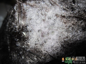 淳萃水舞櫻花洗發(fā)水好用嗎？淳萃水舞櫻花洗發(fā)水多少錢？