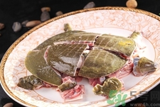 甲魚怎么殺？甲魚怎么處理？