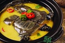 甲魚怎么殺？甲魚怎么處理？