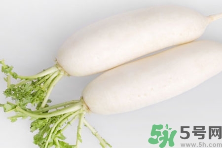 怎么挑白蘿卜好不好？挑選白蘿卜的小竅門