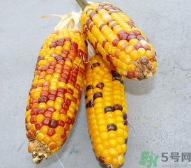 彩色玉米是轉(zhuǎn)基因嗎？彩色玉米能吃嗎？