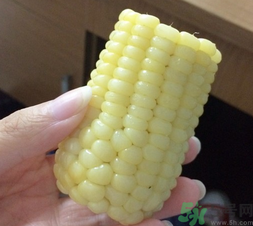 玉米沒(méi)煮熟能吃嗎？沒(méi)煮熟的玉米能吃嗎？
