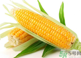 新鮮玉米怎么保存？鮮玉米怎么保存？