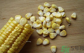 玉米粒可以釣什么魚？玉米粒釣魚方法