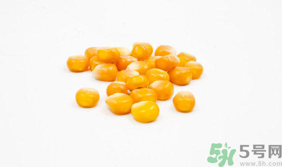 玉米?？梢葬炇裁呆~？玉米粒釣魚方法