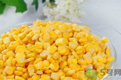 秋天釣魚用什么餌料？秋季釣魚用什么餌料好？
