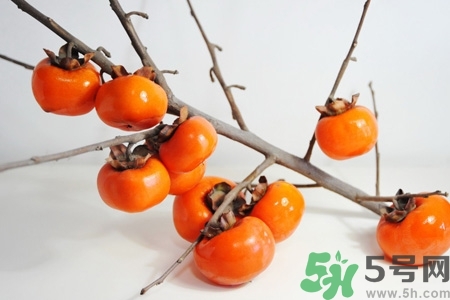 柿子變軟還能吃嗎？柿子變軟是壞了嗎？