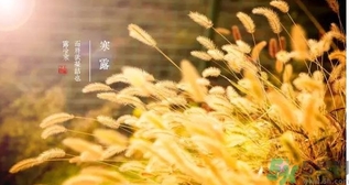 寒露吃什么好？寒露食療