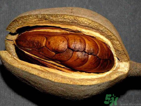 向天果多少錢一斤？向天果價(jià)格