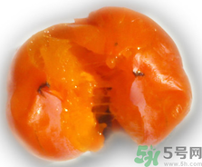 新鮮柿子皮可以吃嗎？吃了柿子皮怎么辦？