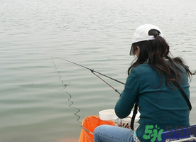 秋天釣鯉魚(yú)用什么味型？秋季釣鯉魚(yú)餌料味型