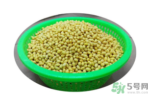新鮮黃豆怎么保存？新鮮黃豆米如何保存？
