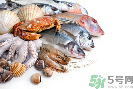 寒露吃海鮮胃不舒服為什么？寒露能吃海鮮嗎？