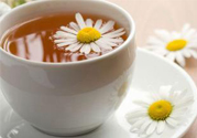寒露喝什么茶好？寒露喝什么茶最養(yǎng)生？