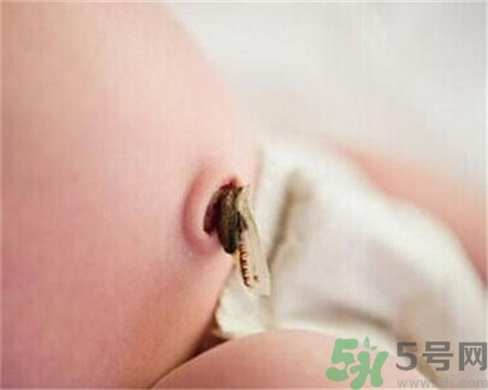 新生兒肚臍怎么護(hù)理？新生兒肚臍什么時(shí)候掉？