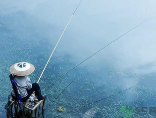 十月份釣什么魚？十月份釣魚技巧