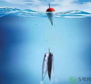秋天釣魚深水還是淺水？秋天釣魚釣深水還是淺水？