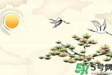 重陽(yáng)節(jié)吃什么好？重陽(yáng)節(jié)吃什么食物？