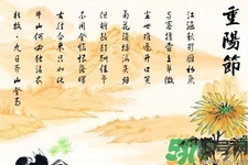 重陽(yáng)節(jié)吃什么好？重陽(yáng)節(jié)吃什么食物？