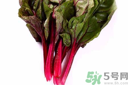 甜菜是蘿卜嗎？甜菜和蘿卜的區(qū)別