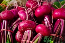 吃甜菜有什么好處？吃甜菜對(duì)身體好嗎？