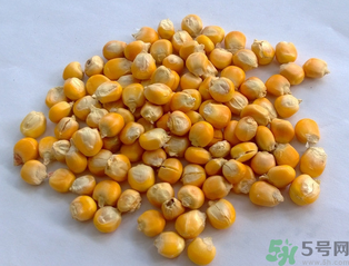 玉米用什么泡釣魚好？玉米怎么泡好釣魚？