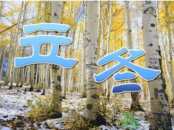 立冬可以栽樹嗎？立冬栽樹樹會(huì)死嗎？