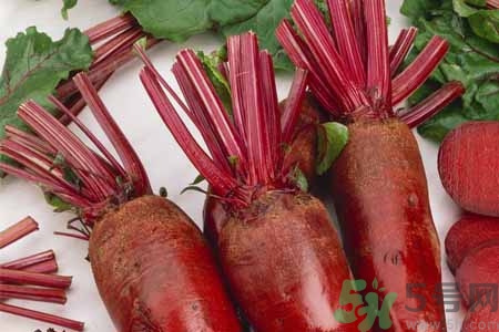 甜菜是甜的嗎？甜菜到底是不是甜的？