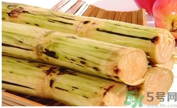 甘蔗過夜了能吃嗎？隔夜的甘蔗可以吃嗎？