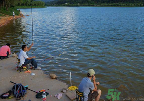 秋天釣魚是什么時(shí)候？秋天釣魚什么時(shí)候最好？