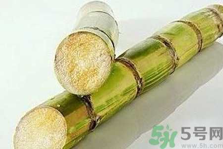 血糖高的人能吃甘蔗嗎？血糖偏高可以吃甘蔗嗎？