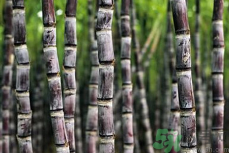 甘蔗發(fā)紅還能吃嗎？甘蔗中間發(fā)紅是怎么回事？
