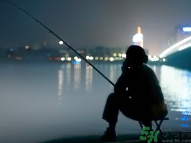 十月份還能夜釣嗎？十月份適合夜釣嗎？