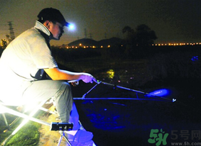 秋天可以夜釣嗎？秋天夜釣技巧