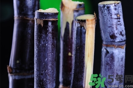 甘蔗一天吃多少最好？甘蔗能每天都吃嗎？