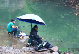 釣的魚怎么保存？釣的魚吃不完怎么保存？