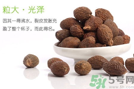 胖大海泡水后能吃嗎？胖大海的功效與作用