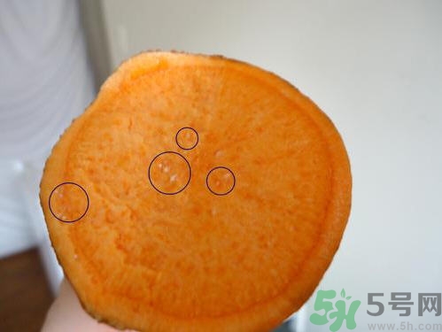 番薯發(fā)芽還能吃嗎？山芋發(fā)芽還能吃嗎？