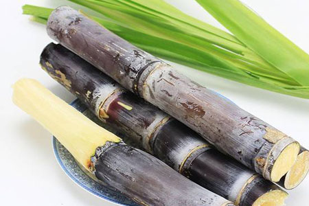 甘蔗汁一天喝多少最好？甘蔗汁能每天都喝嗎？