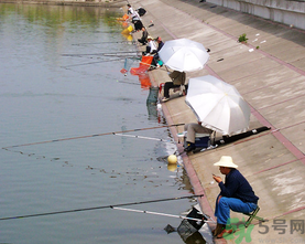 水庫釣魚用什么餌料？水庫釣魚用什么商品餌？