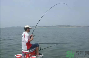 陰天好釣魚嗎？陰天釣魚好釣嗎？