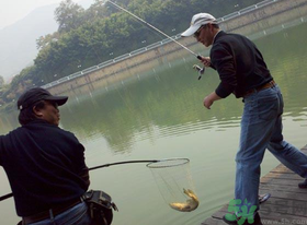 秋季釣黑魚用什么魚餌？秋天釣黑魚用什么餌？