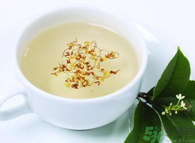 新鮮桂花能泡茶嗎？新鮮桂花怎么處理泡茶？