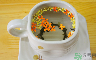 剛摘的桂花可以泡茶嗎？剛摘的桂花能泡茶嗎？