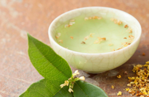 剛摘的桂花可以泡酒嗎？新鮮桂花可以泡酒嗎？