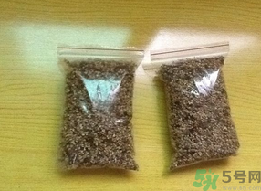 桂花怎么曬干？桂花曬好后可以做什么？