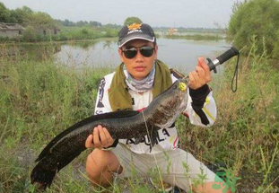 路亞釣黑魚用什么假餌？路亞釣黑魚用什么餌？