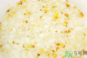 新鮮桂花可以煮粥嗎？桂花可以煮粥嗎？