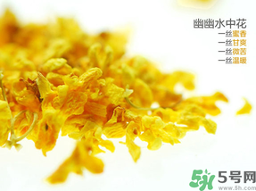 桂花可以泡水喝嗎？桂花怎么泡水？